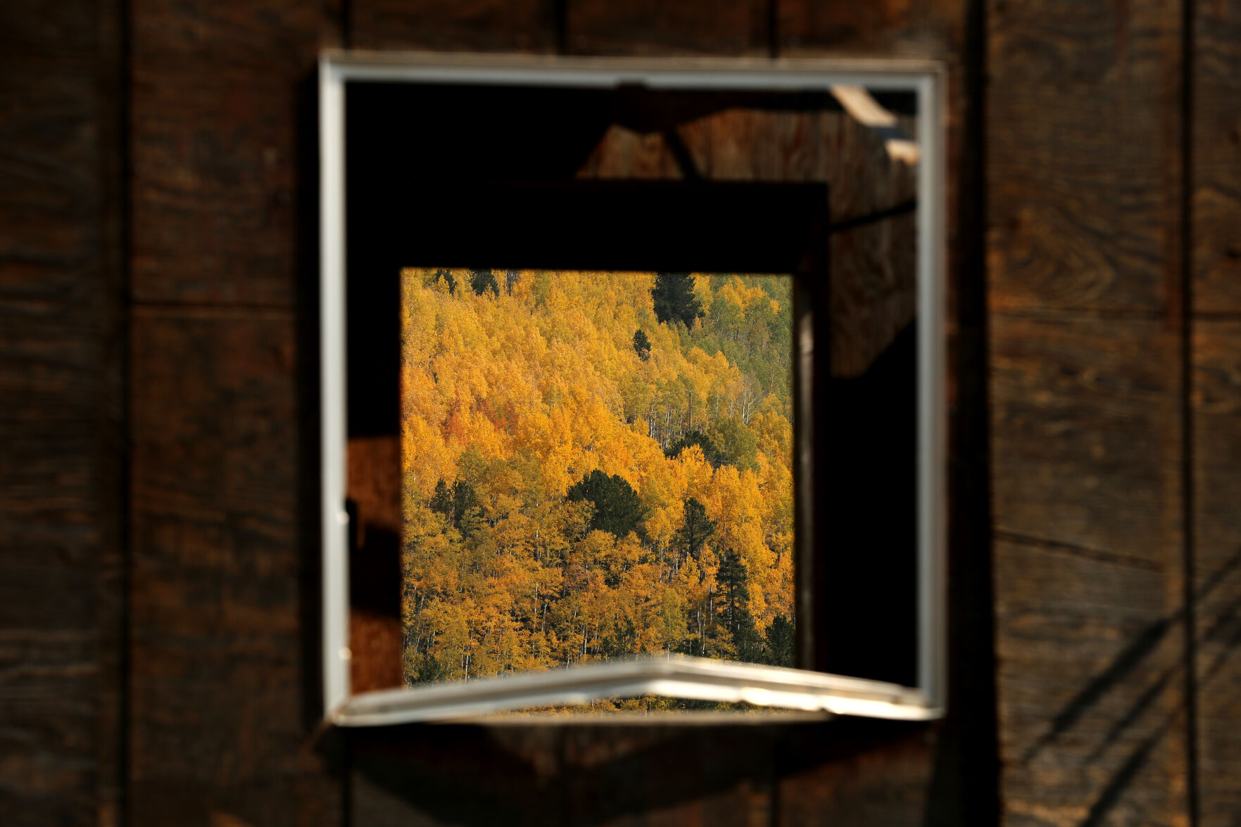 093020-news-aspens 3.JPG